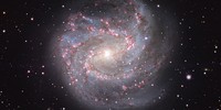 APOD: 2026 September 11 – M83: The Southern Pinwheel