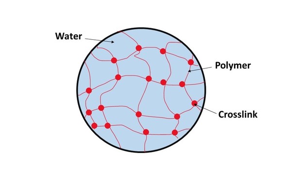 A sketch showing the structure of a hydrogel. The long polymer strands intersect and form a mesh-like structure which holds on to water.