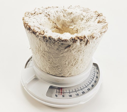 A small flowerpot made from mushroom root material on a scale. The scale shows the pot weighs a little under 40g.