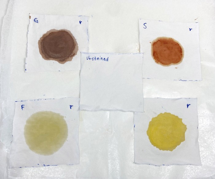 Five labeled 10x10cm cotton squares, four with stains and one without. 