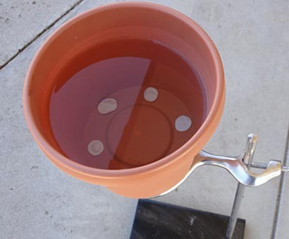 Flower pot holding water with all drainage holes sealed