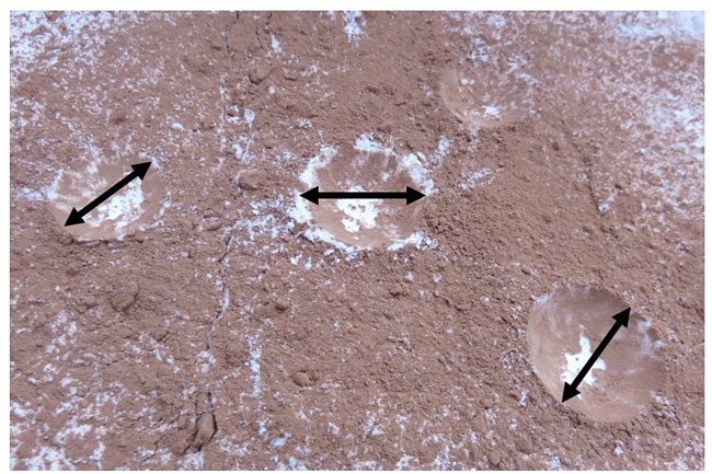 Diameter of impact craters in flour and cocoa powder are measured