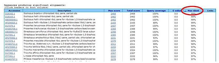 A cropped screenshot of the BLAST results page on the ncbi.nlm.nih.gov website. The results page in the BLAST tool on the NCBI webpage show results listed that provide additional information such as the percentage match a result has to the specific query string. To the right of the list a column labeled