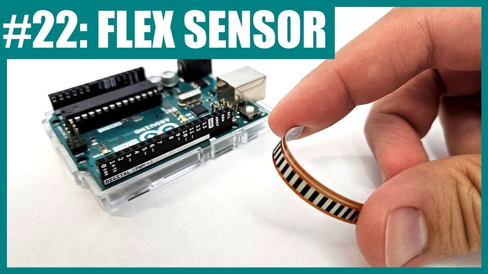 How to Use an Arduino