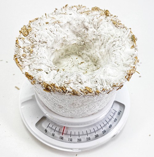 A small flowerpot made from mushroom root material on a scale. The scale shows the pot weighs 100g.