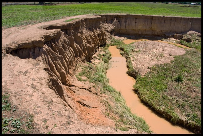 An example of multiple types of soil erosion.