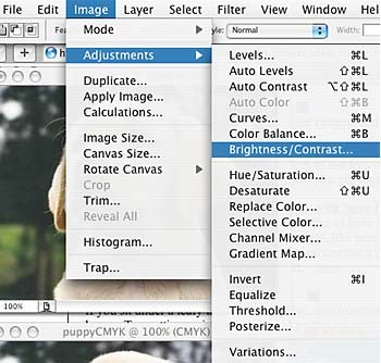 Screenshot of the image menu drop-down in the program Photoshop