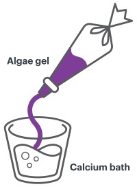Piping Tube squeezes algae gel into cup of liquid labeled calcium bath