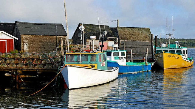 fishing boats with traps