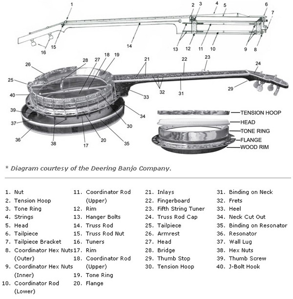 Instrument Banting Example Building Banjos | Science Project