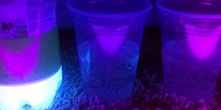 Seeing Tonic Water Glow