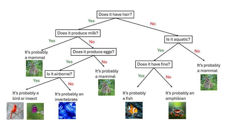 Example of a Decision Tree. This diagram demonstrates how to classify an animal based on its characteristics by navigating through the tree. Please note that this tree is illustrative and not entirely accurate.