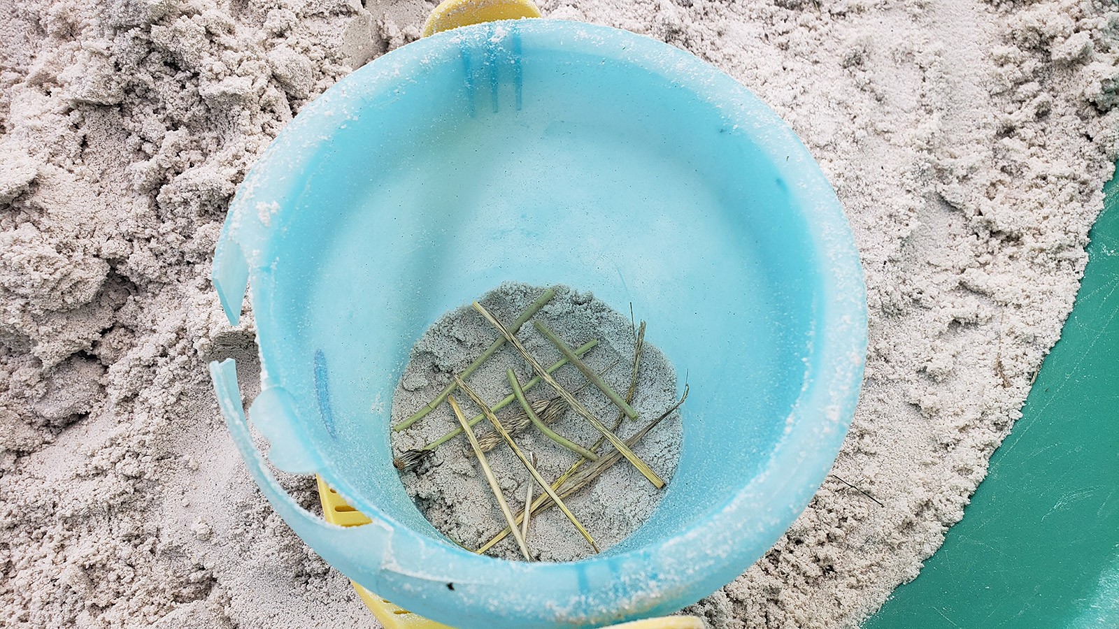 A bucket with a layer of sand at the bottom, and a grid on top of the sand made from pieces of grass.