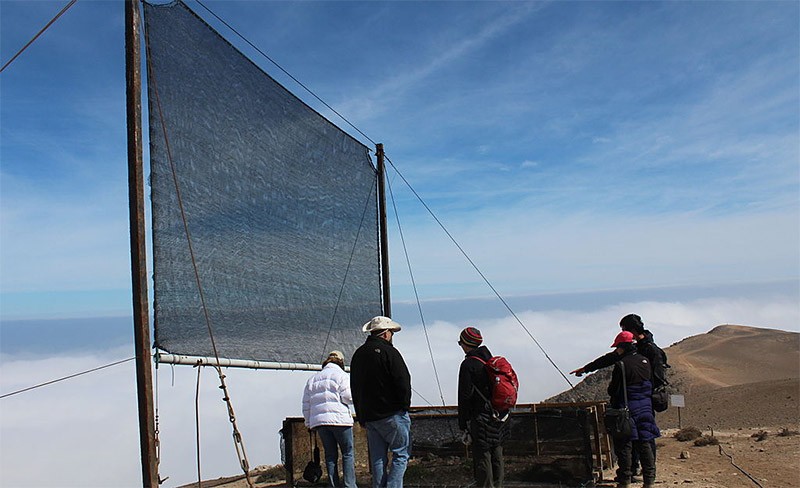 Peope stand next to a fog catcher device on the mountain. 