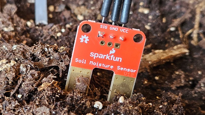 A soil moisture sensor with its two probes pushed into soil