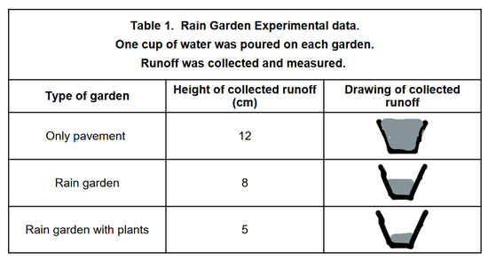 rain garden table 