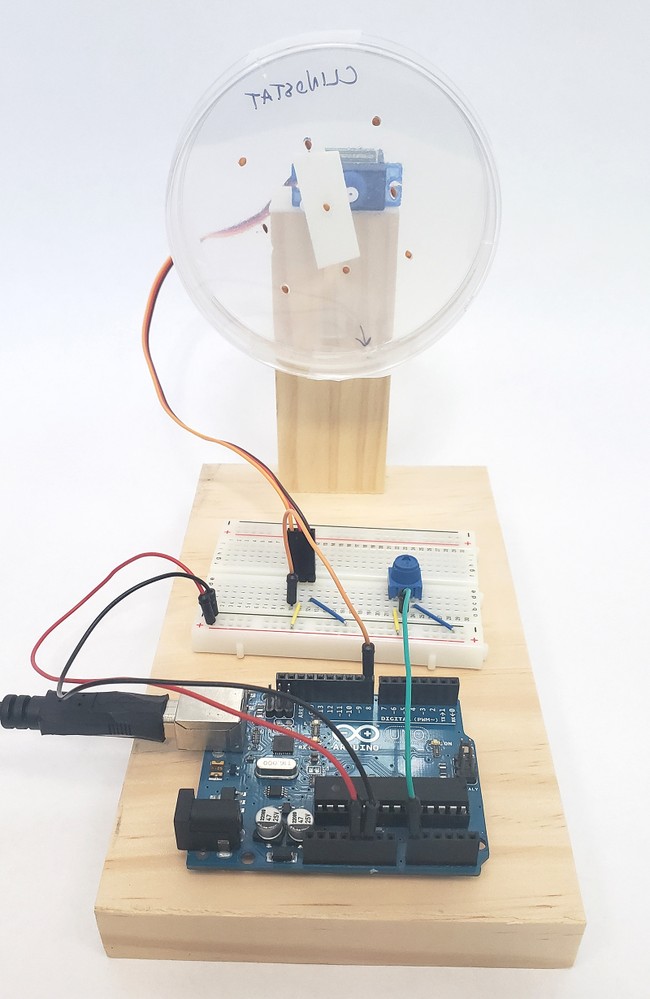 Petri dish attached to servo horn on clinostat with double sided foam tape