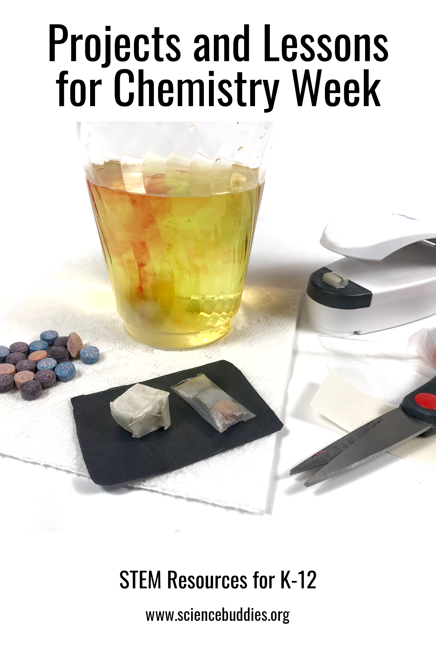 Design a Delayed-Release Pill Chemistry Project