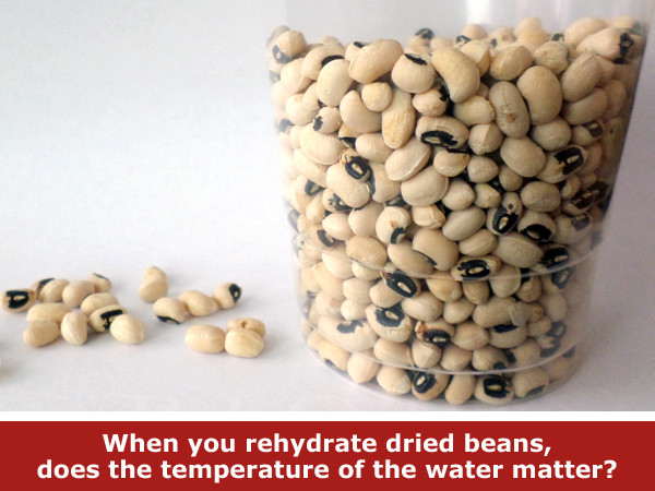 Explore the science of making soup from dried beans  / Hand-on STEM experiment