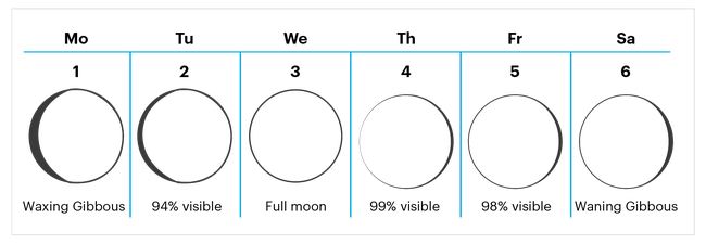Calendar of one week showing moon phases going from waxing gibbous on the first day to waning gibbous on the 6th day 