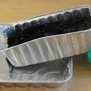 Soil Day