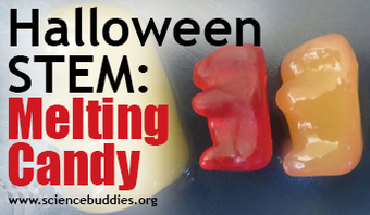 Gummy candies lined up for a melting candy experiment