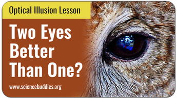 Optical Illusion Science Projects: Portion of an owl eye