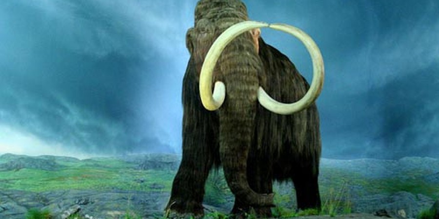 Explore Evolution Science Projects