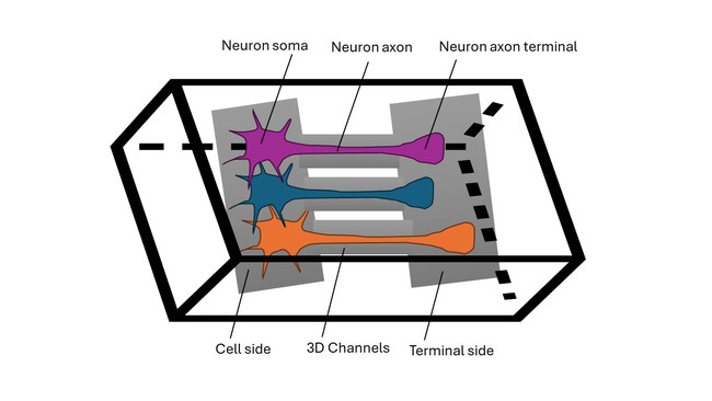 Image of labelled parts of a microfluidic device.