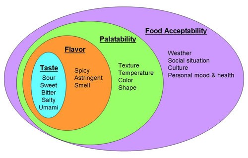 Four ovals overlaid describe the taste, flavor, palatability and acceptability of food