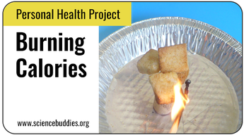 Personal Health Science Projects: Calorimeter
