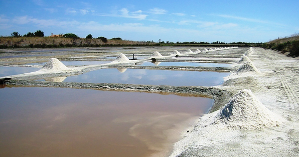 Salt evaporation pond in Île de Ré, France