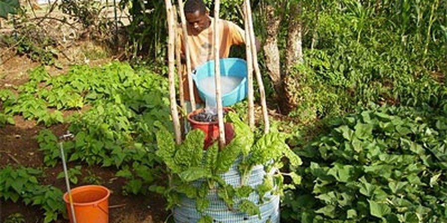Experiment with Water Quality Science Projects