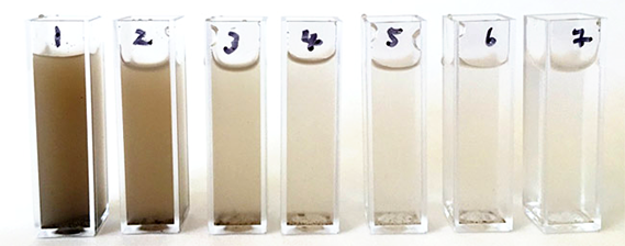 A series of containers with different amounts of total suspended solids for calibration of the turbidimeter