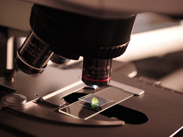 Microscope with tiny plant