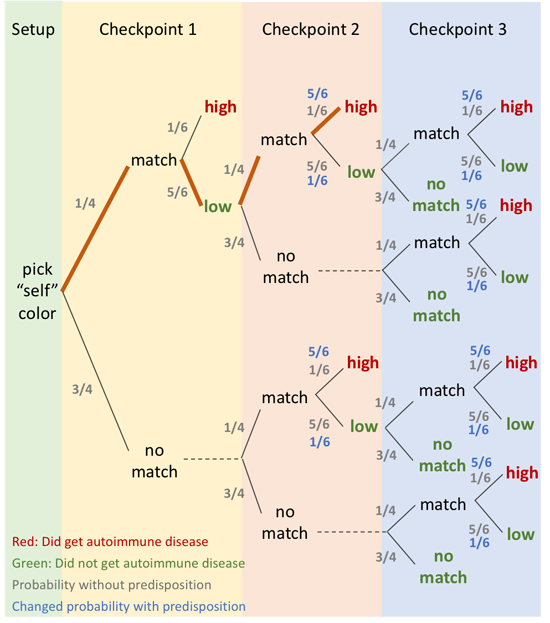 Chart for the autoimmune disease activity that lists the probability of a disease based on all possible outcomes