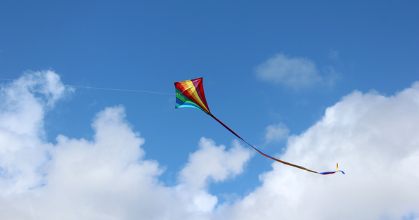 Kite in the air