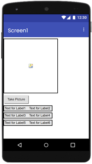 Six labels arranged in three rows and two columns in the app