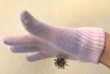  A natural burr attached to a wool glove.
