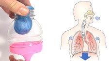 Model lung from bottle and balloon and diagram of human breathing system