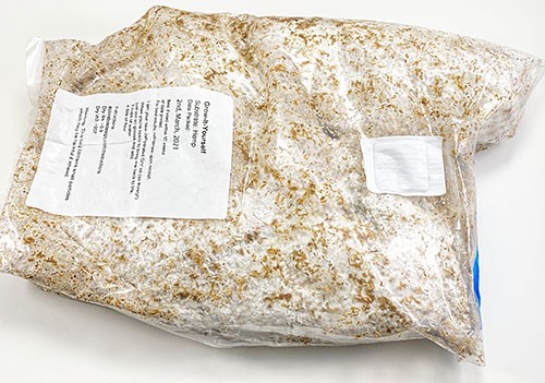 The organic material in the bag is covered with a whitish substance, and condensation is visible on the surface of the bag.