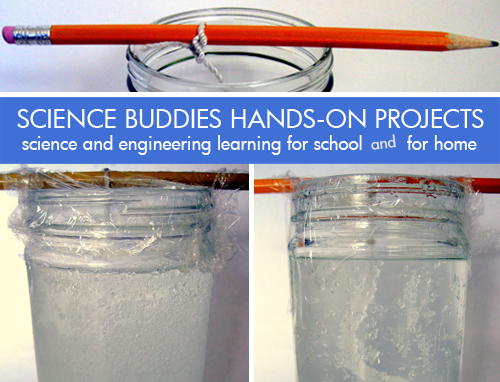 Weekly Science Activity Spotlight / Crazy Crystals Chemistry Project for School or Family Science