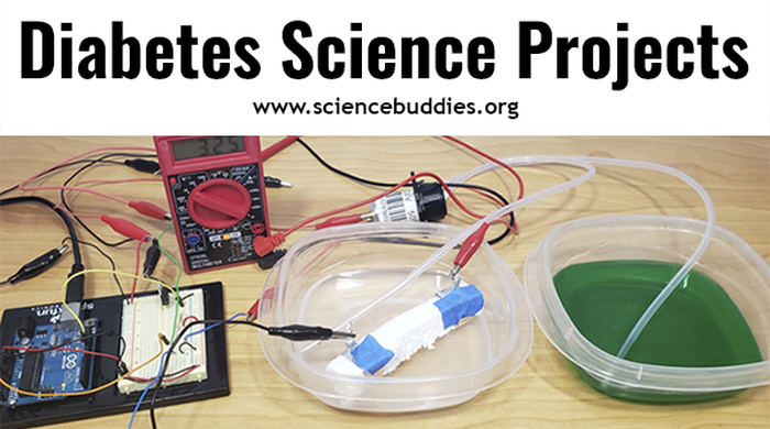 Fostering Diabetes Awareness with Diabetes Science Projects