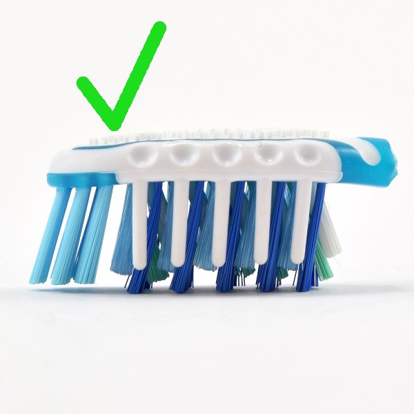 Cut the heads off two toothbrushes with slanted bristles